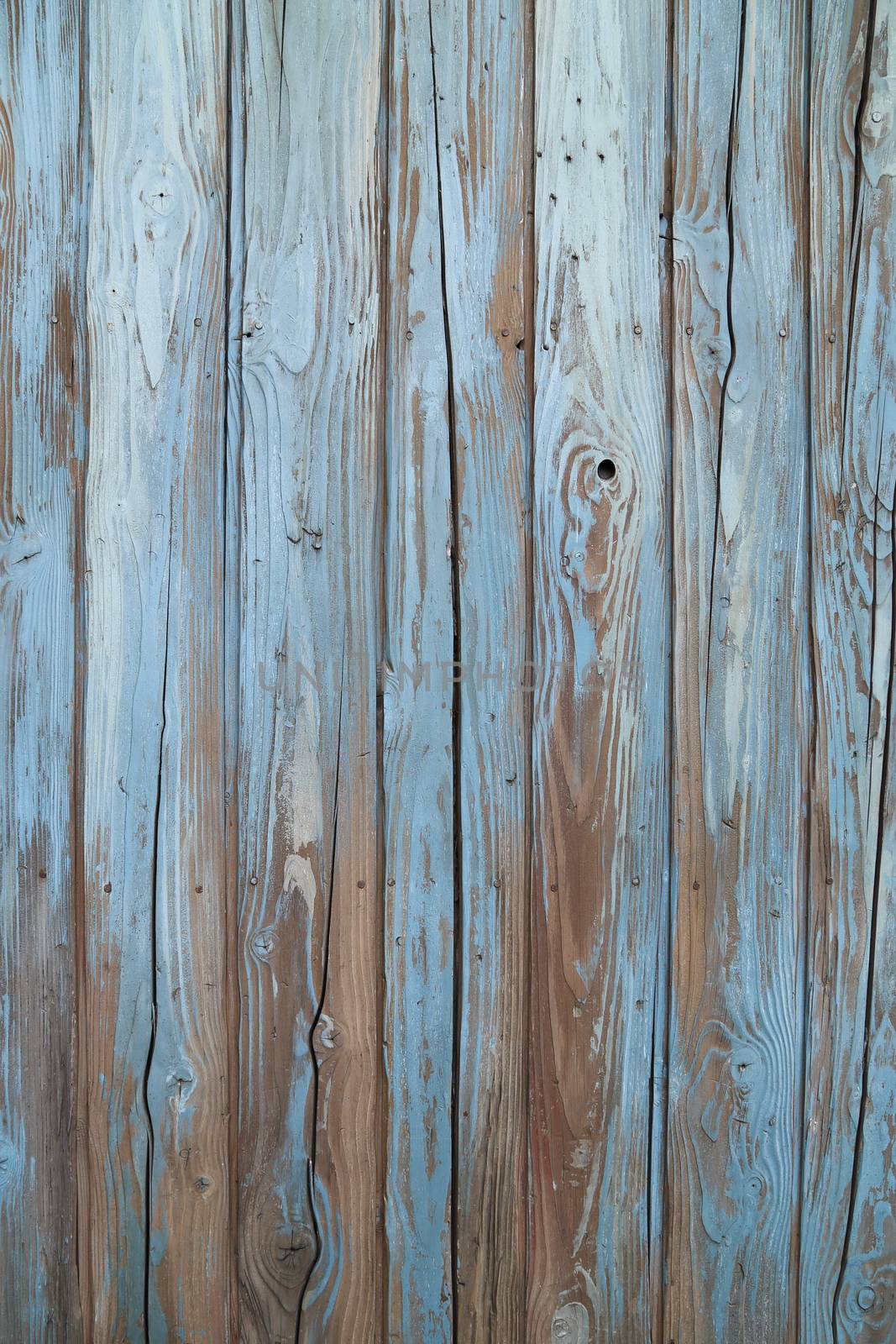 old blue wood wall  by geargodz