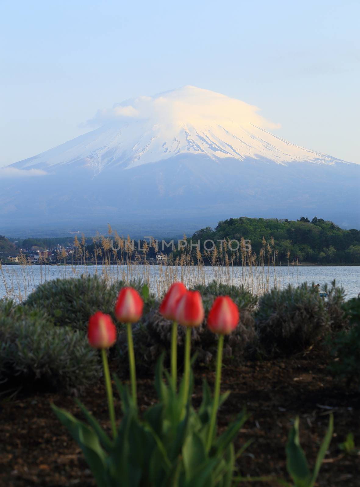 Mount Fuji, view from Lake Kawaguchiko by geargodz