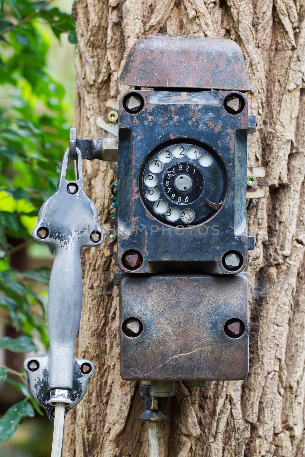 Old black telephone hanging on a tree