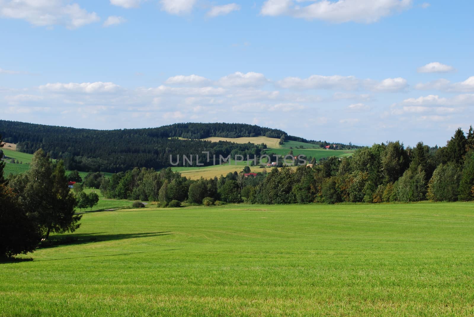 summer landscape