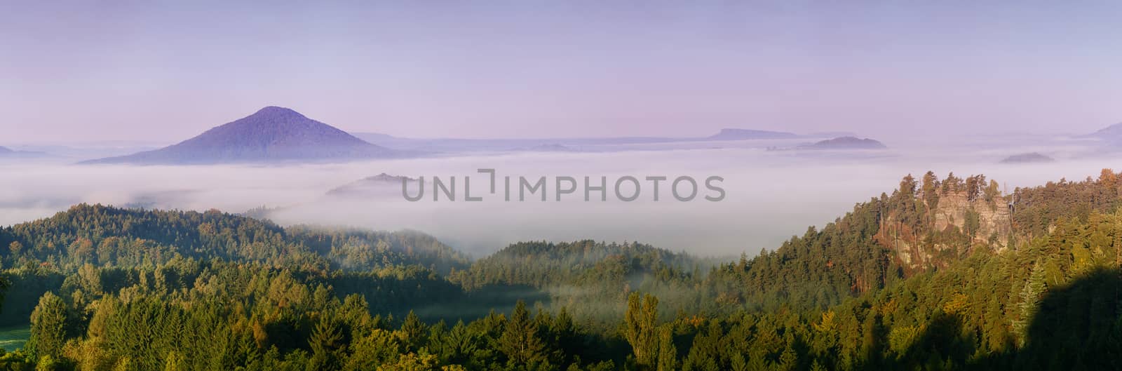 foggy dawn over the Ruzovsky vrch highest peak of national park Bohemian Switzerland, Czech Republic