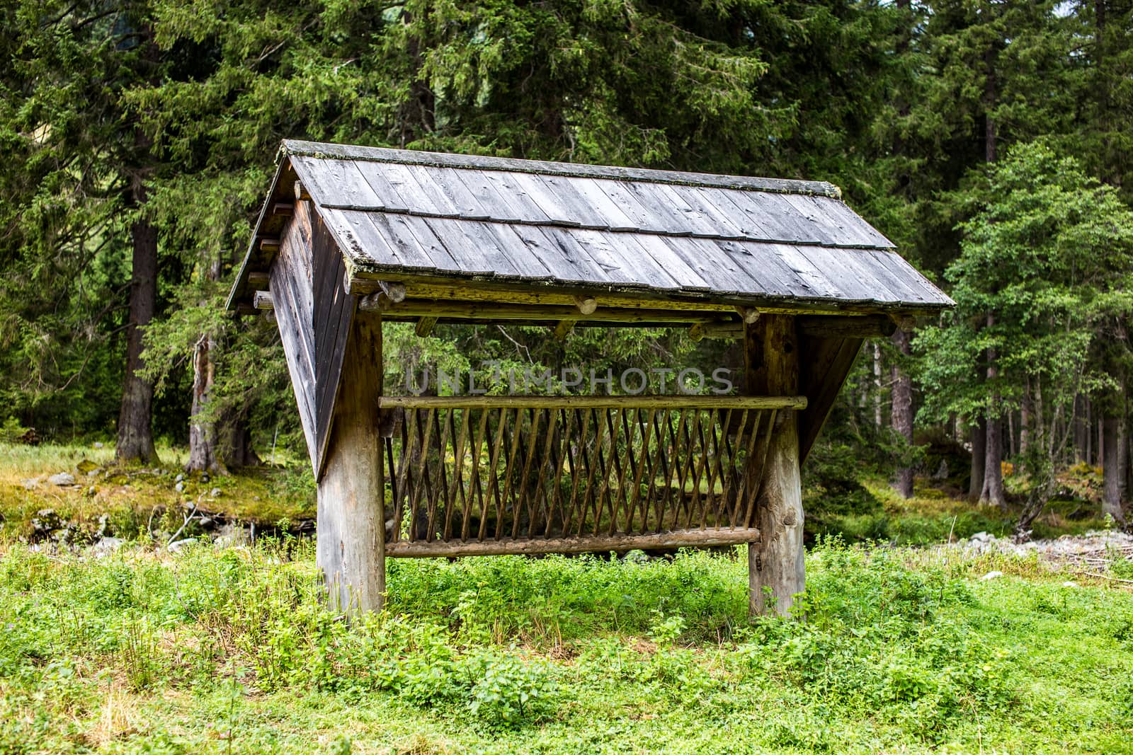 Feeder for wild animals in mountains Austria