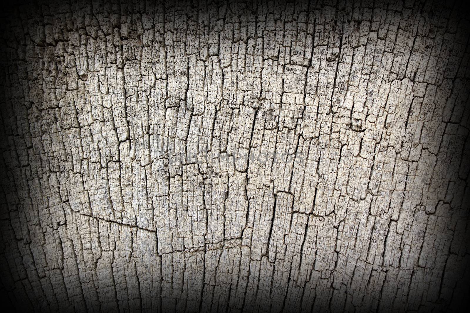 antique  oak wood texture by taviphoto