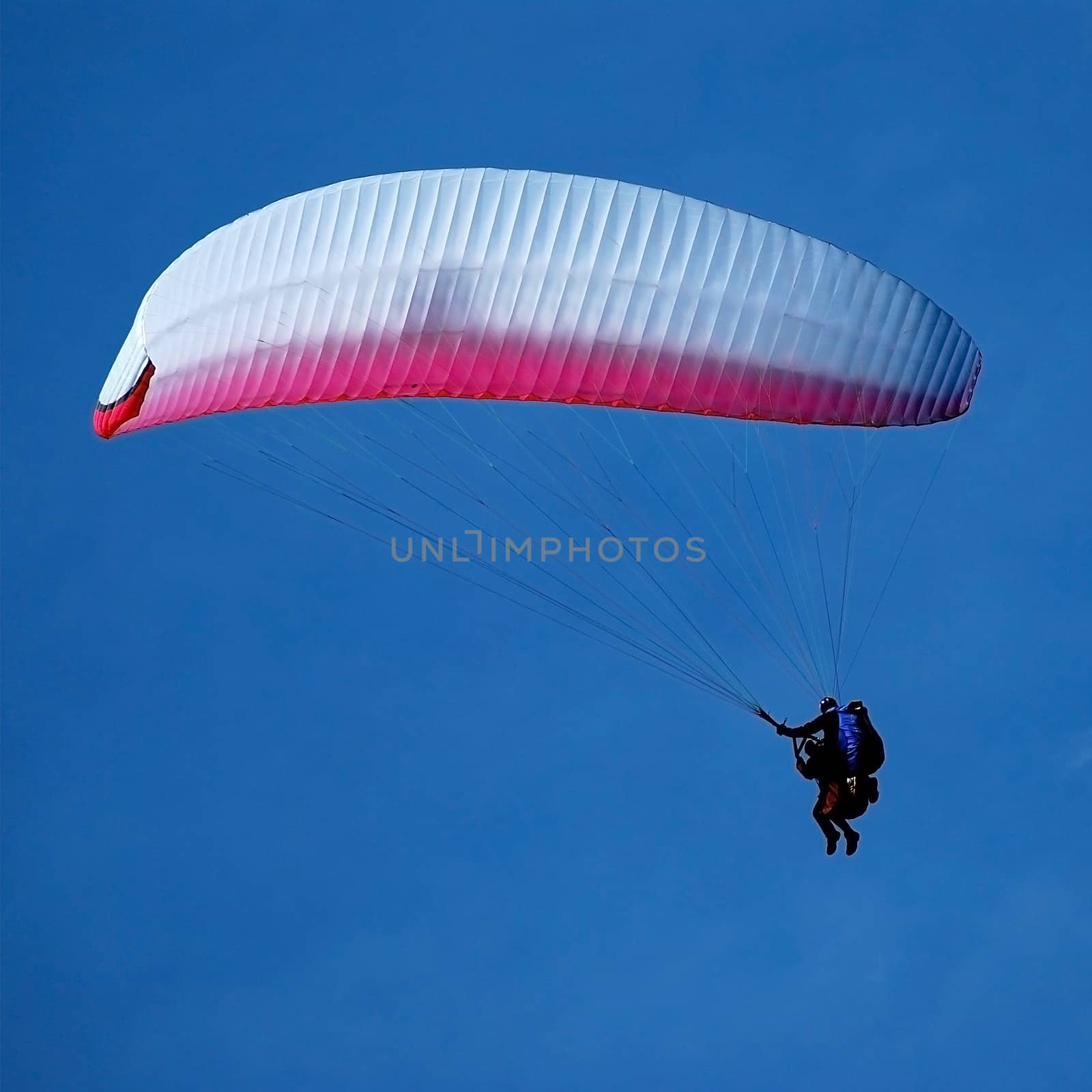 tandem paragliding in the blue sky, flying in the sky