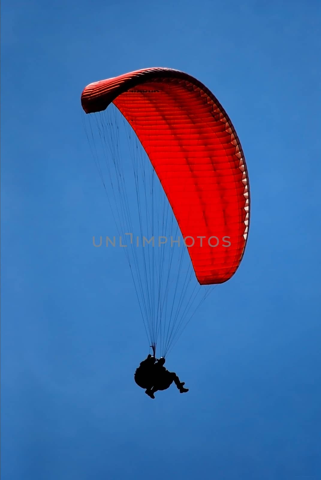 tandem paragliding in the blue sky, flying in the sky