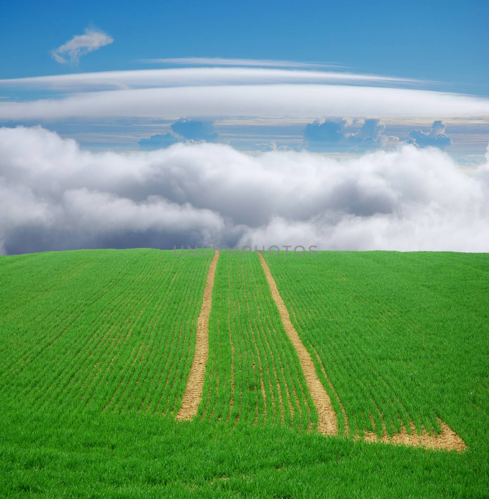 green field trip to heaven, tracks leading to the blue sky