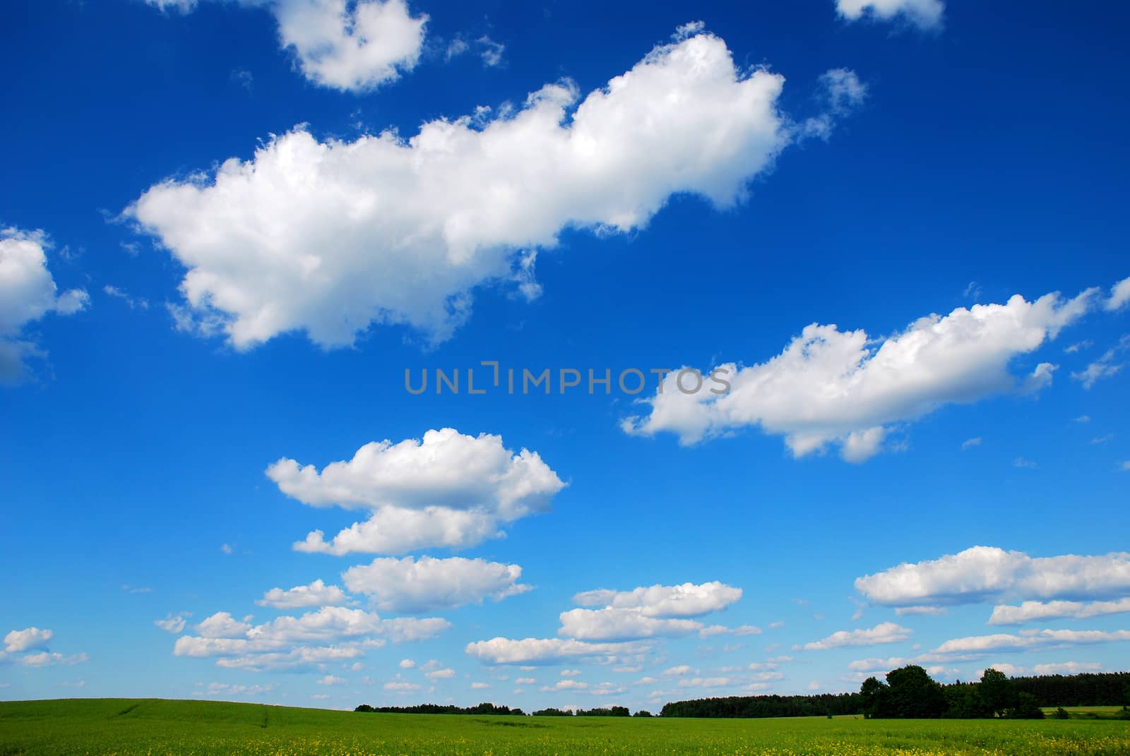 clear blue sky with fluffy white clouds