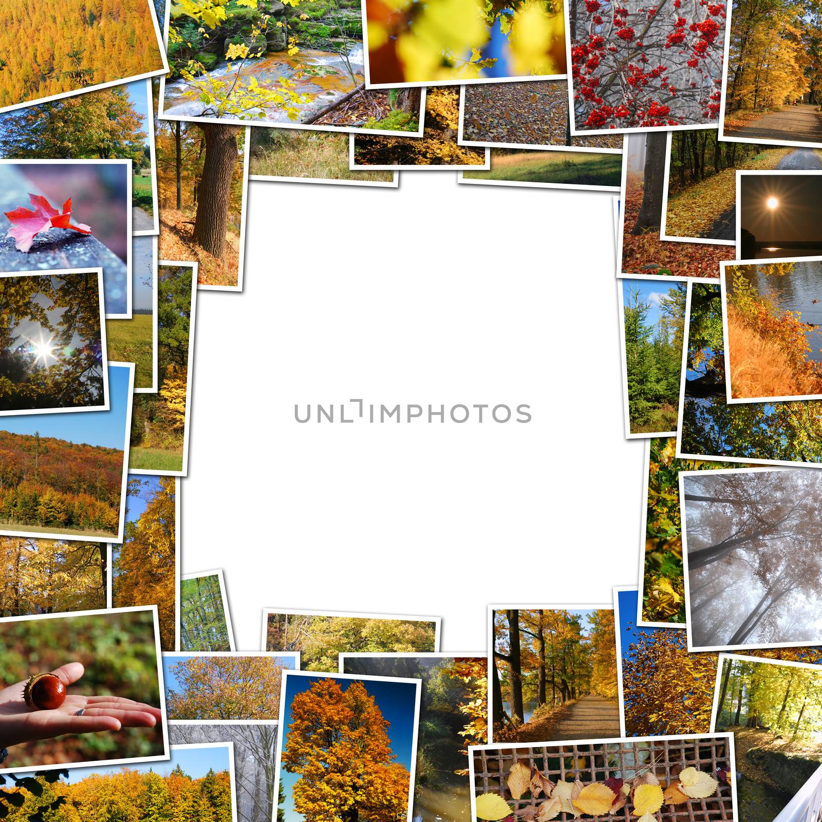 frame of autumn photos by studio023