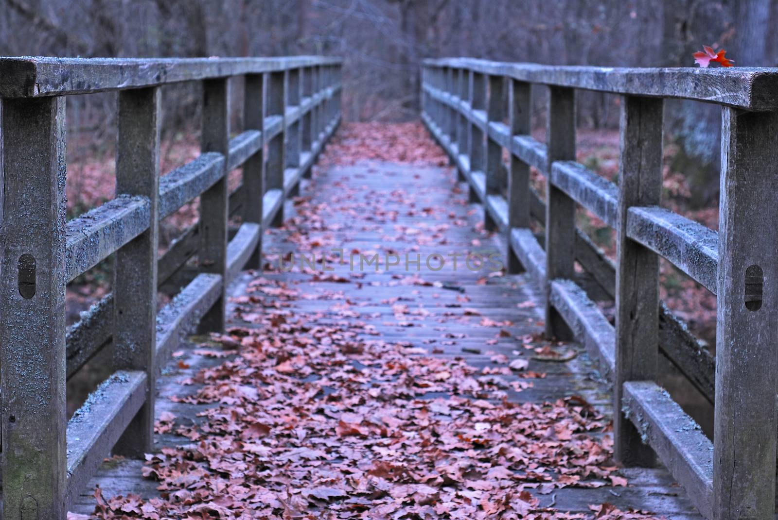 old wooden bridge covered with fallen autumn leaves