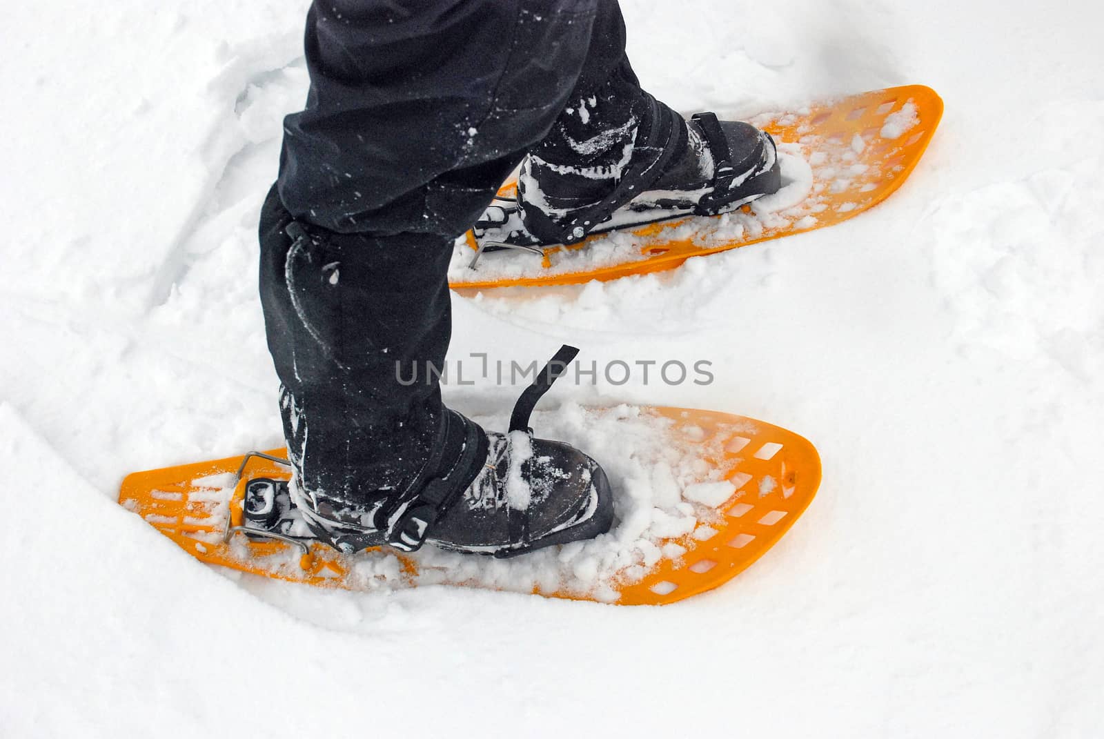 Two yellow snowshoes in the snow