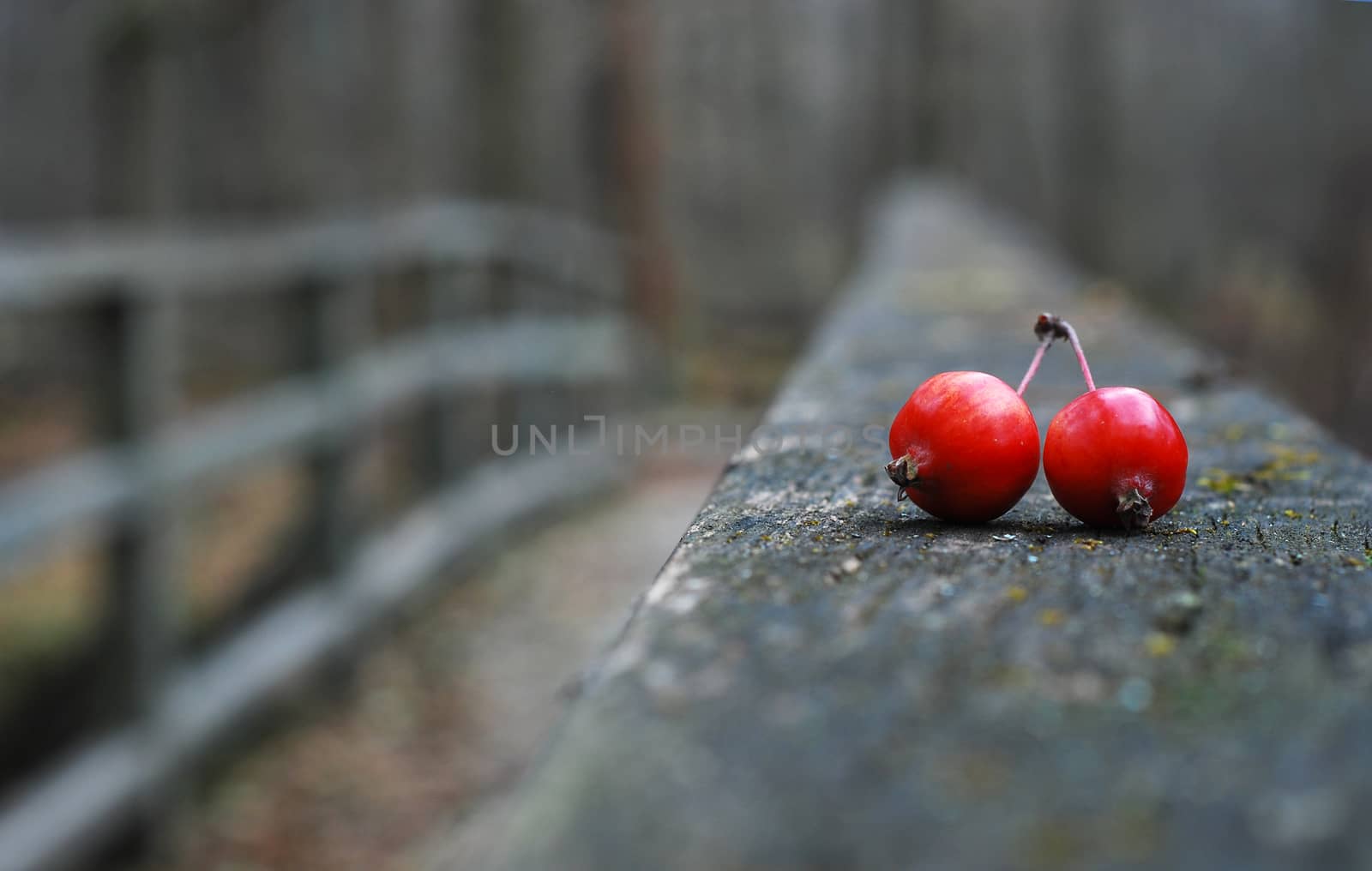 Red pieces on old wooden bridge by studio023