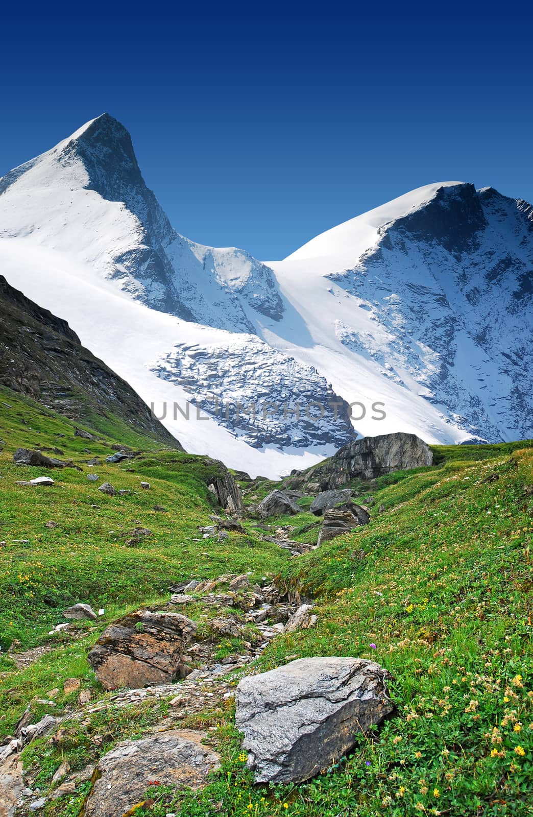 high snowy mountain peaks and glaciers rocks with blue sky and grass, freedom