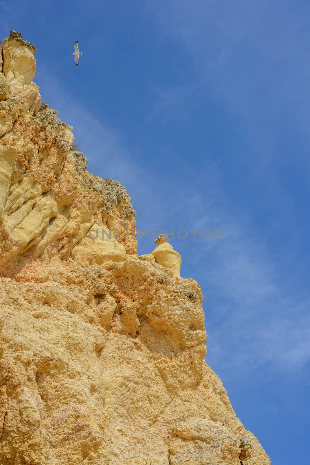 Golden rock cliffs with blue sky and bird