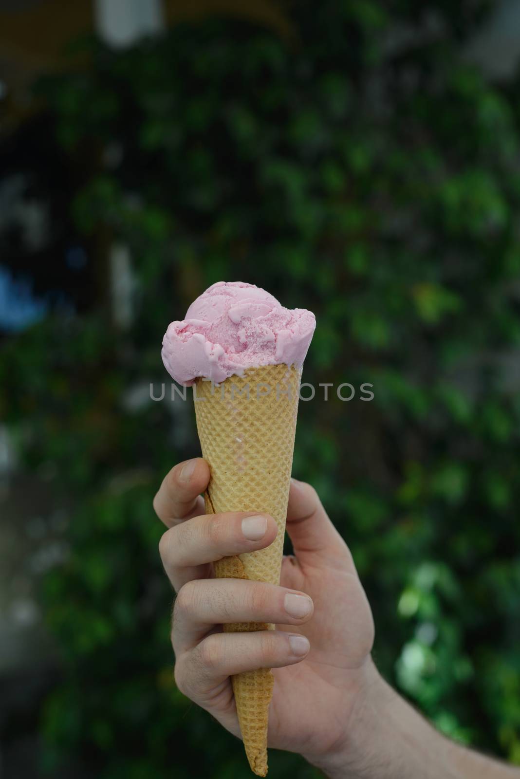 Men's hand holding pink ice cream waffle cone