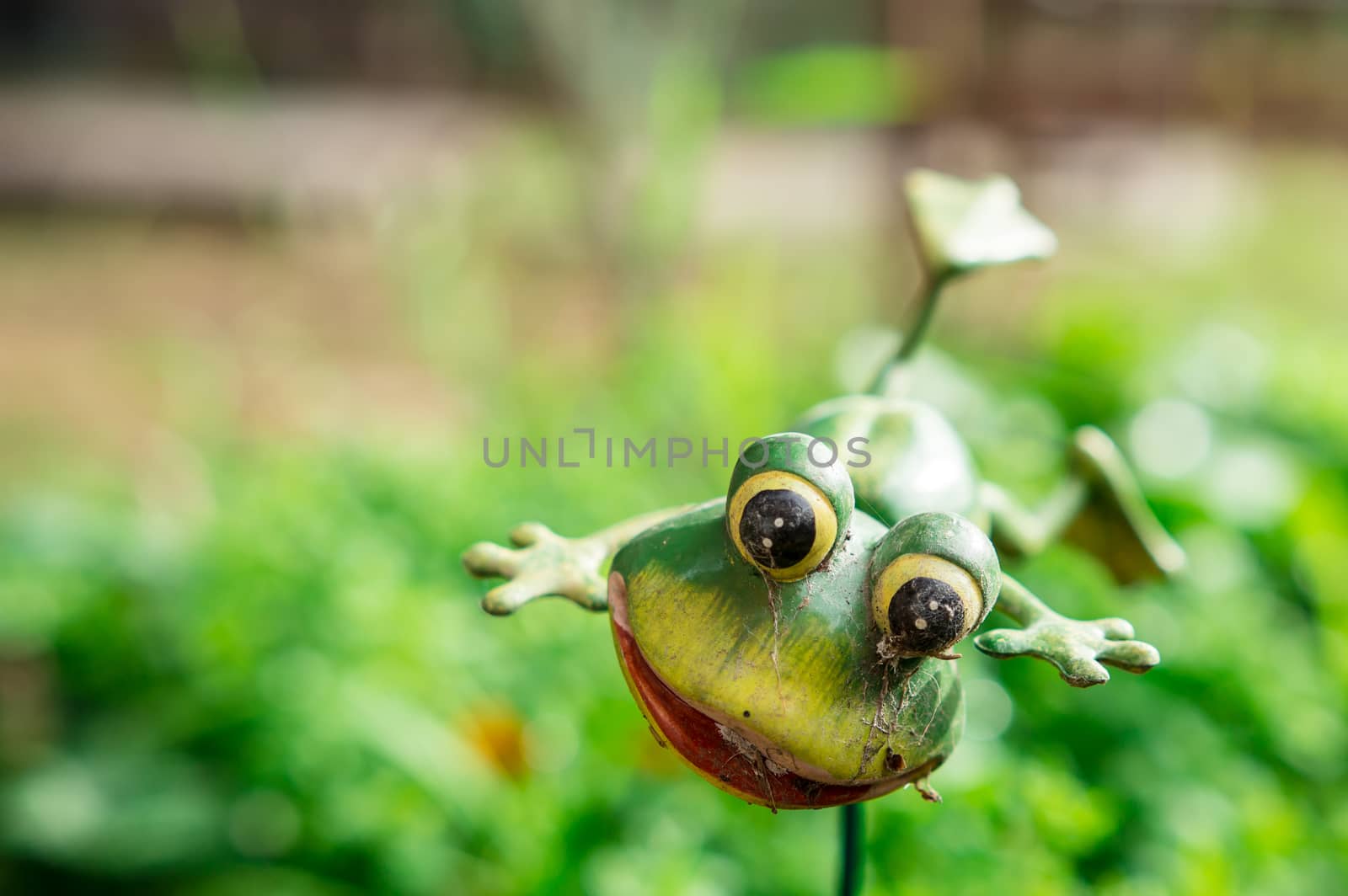 a cutie green frog toy in the garden at the backyard