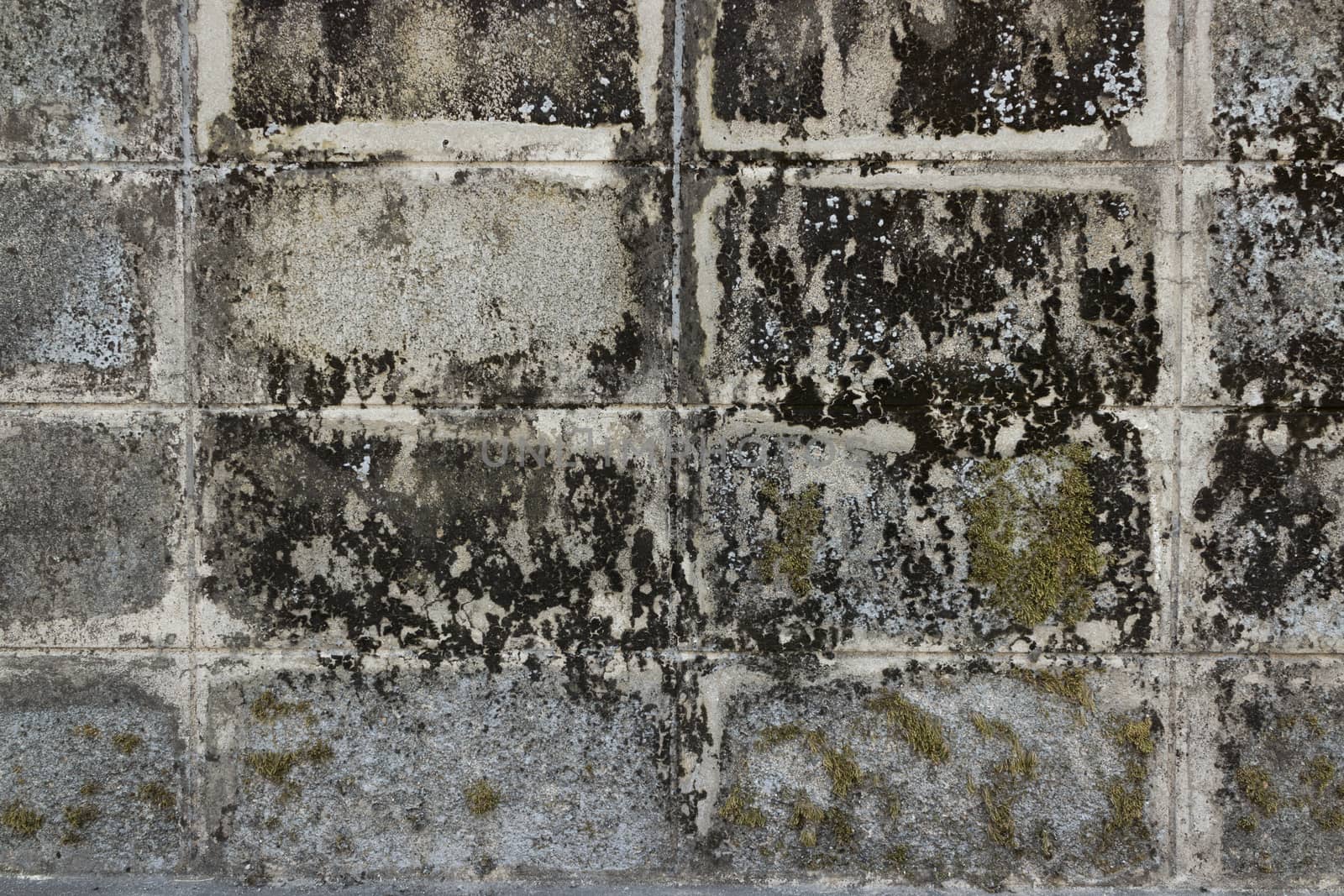 grunge wall texture background by kaisorn