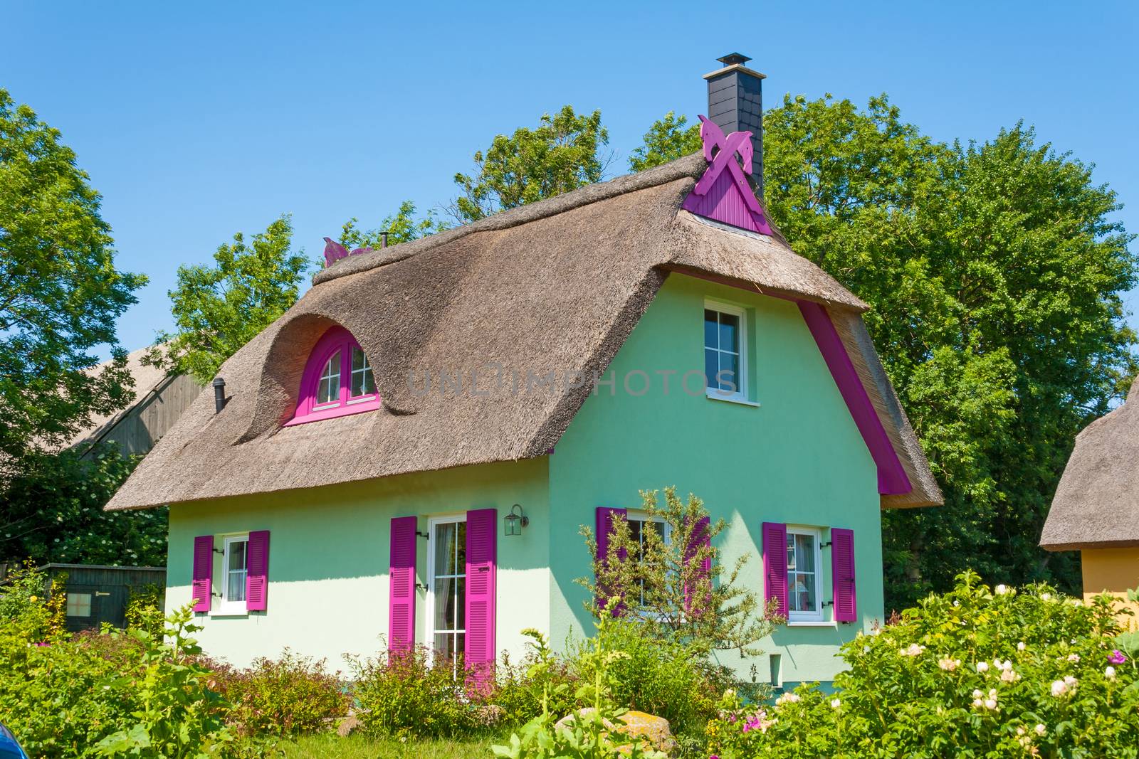 mint green thatched-roof vacation home with garden