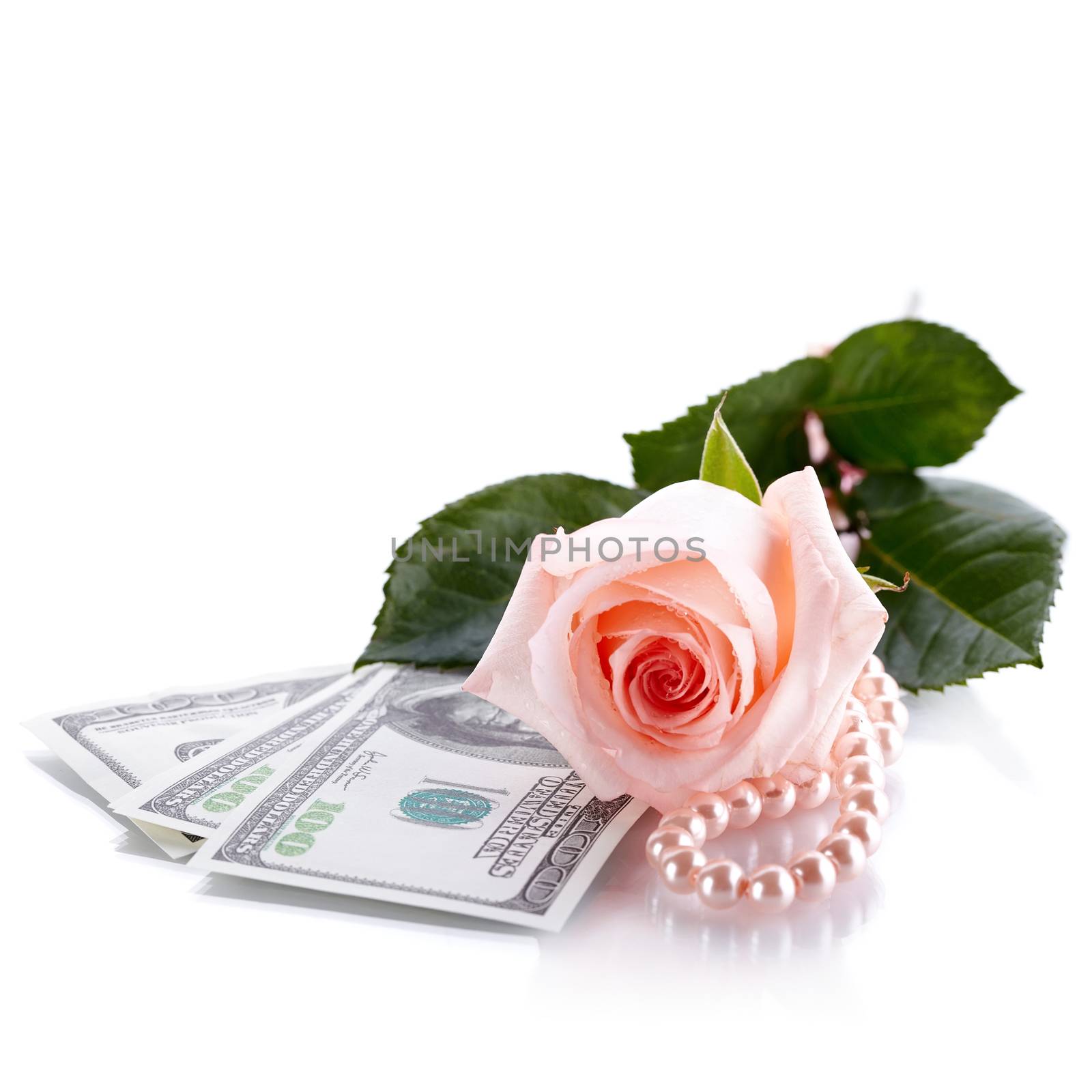Pink rose. Pink flower. Rose and dollars and pearl beads. Dollars. Flowers and money and pearl beads. Expensive flower. Expensive gift. Pink rose flower and money