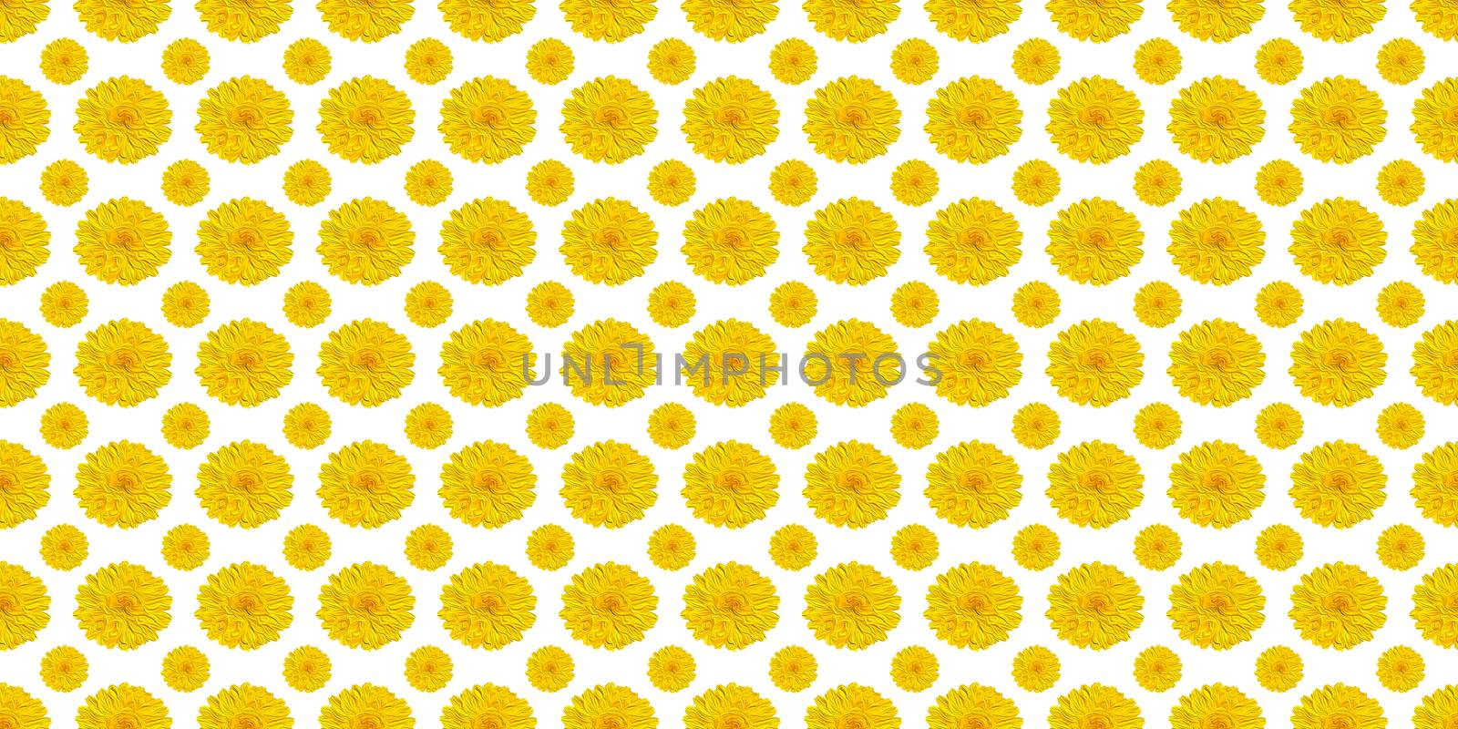 yellow flowers on white  by freila