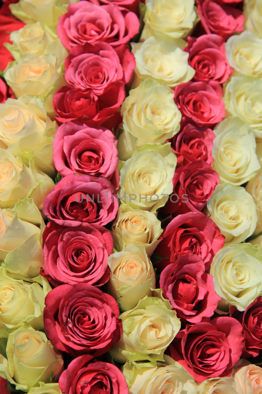 Pink roses in different shades in wedding arrangement by studioportosabbia