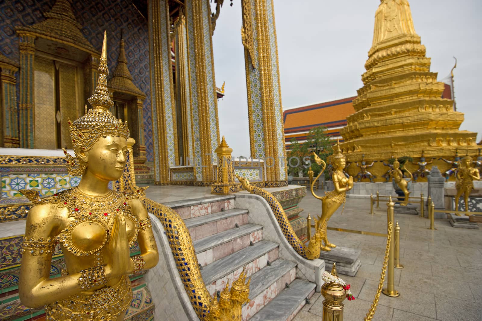 A Golden Kinnari statue in Wat Phra Kaew, Bangkok, Thailand by think4photop