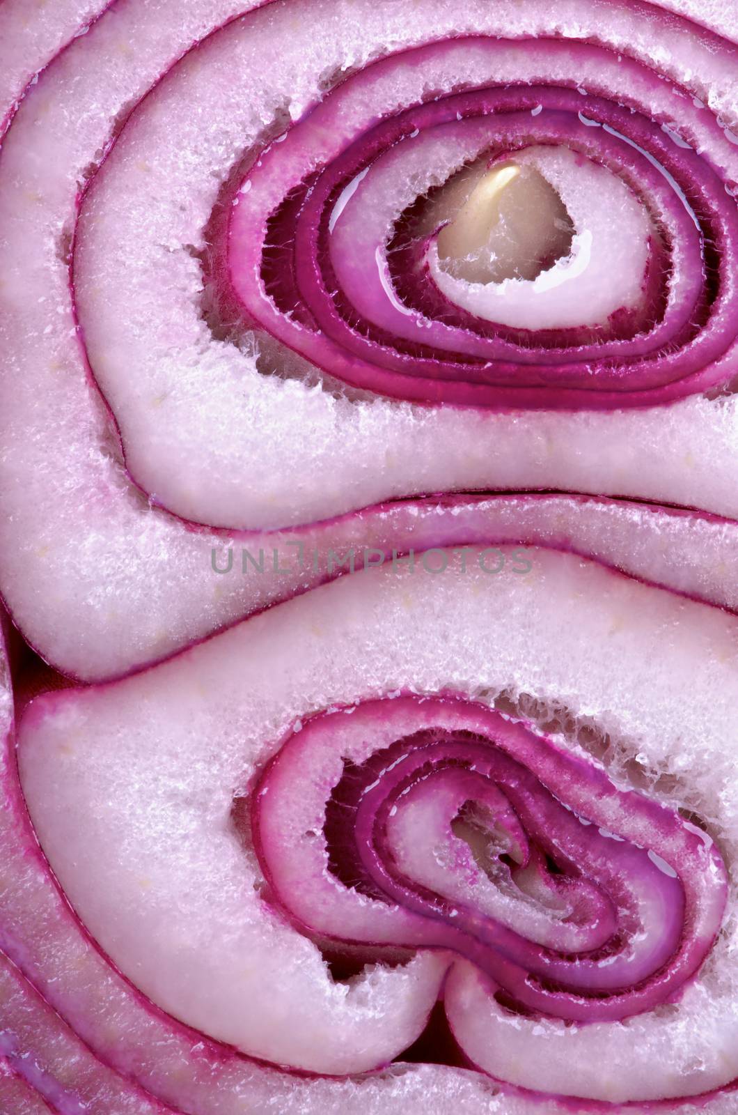 Ripe Red Onion Slice Cross Section closeup as Background