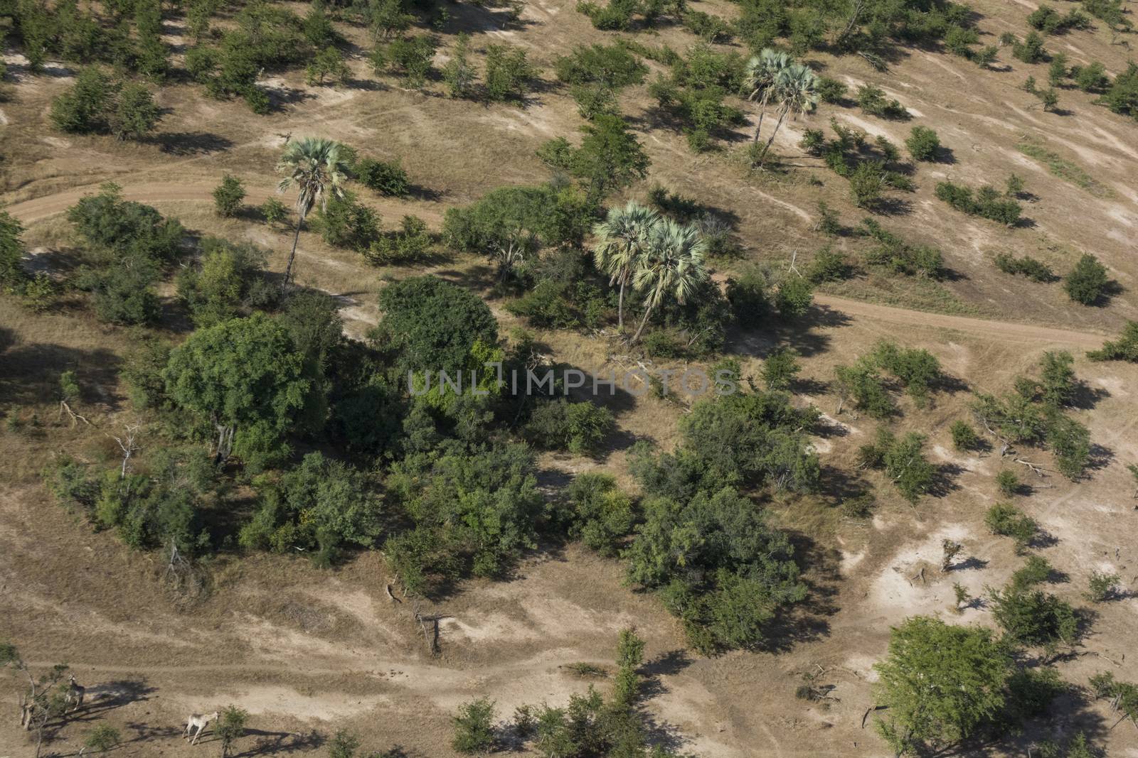 Zambian savannah view from the sky