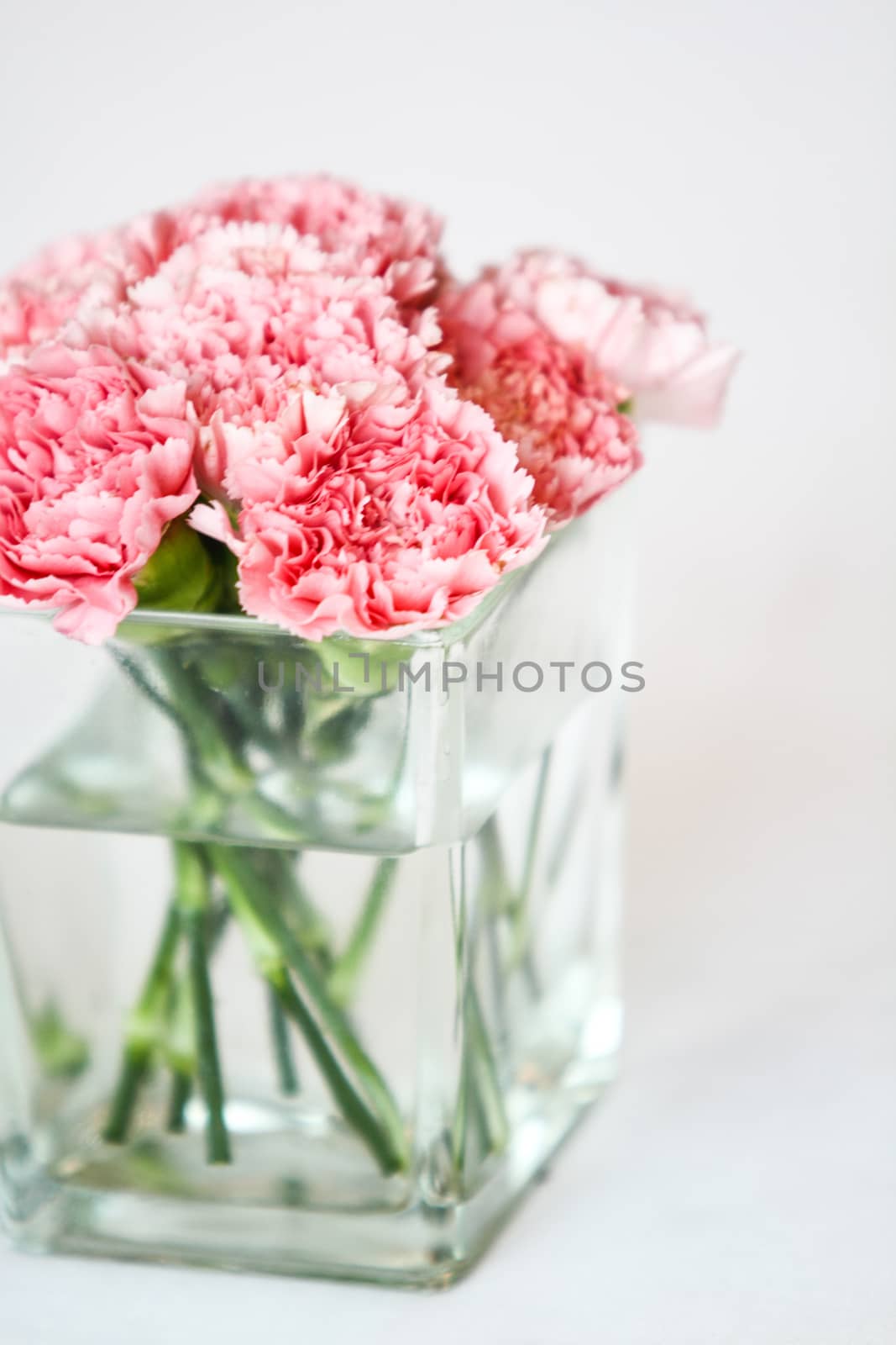 Bouquet of carnation flowers in glass vase