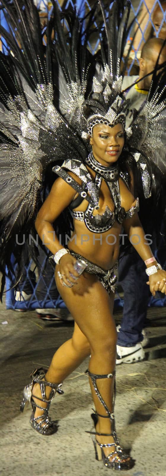 An entertainer at a carnaval in Rio de Janiero, Brazil
03 Mar 2014
No model release
Editorial only