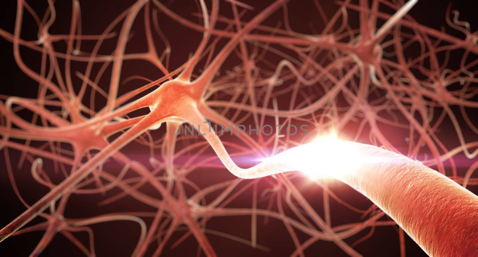 3D render of Neurons Network.  by klss