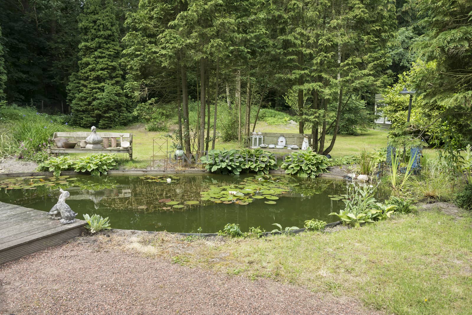 english garden with pond bech water trees and flowers