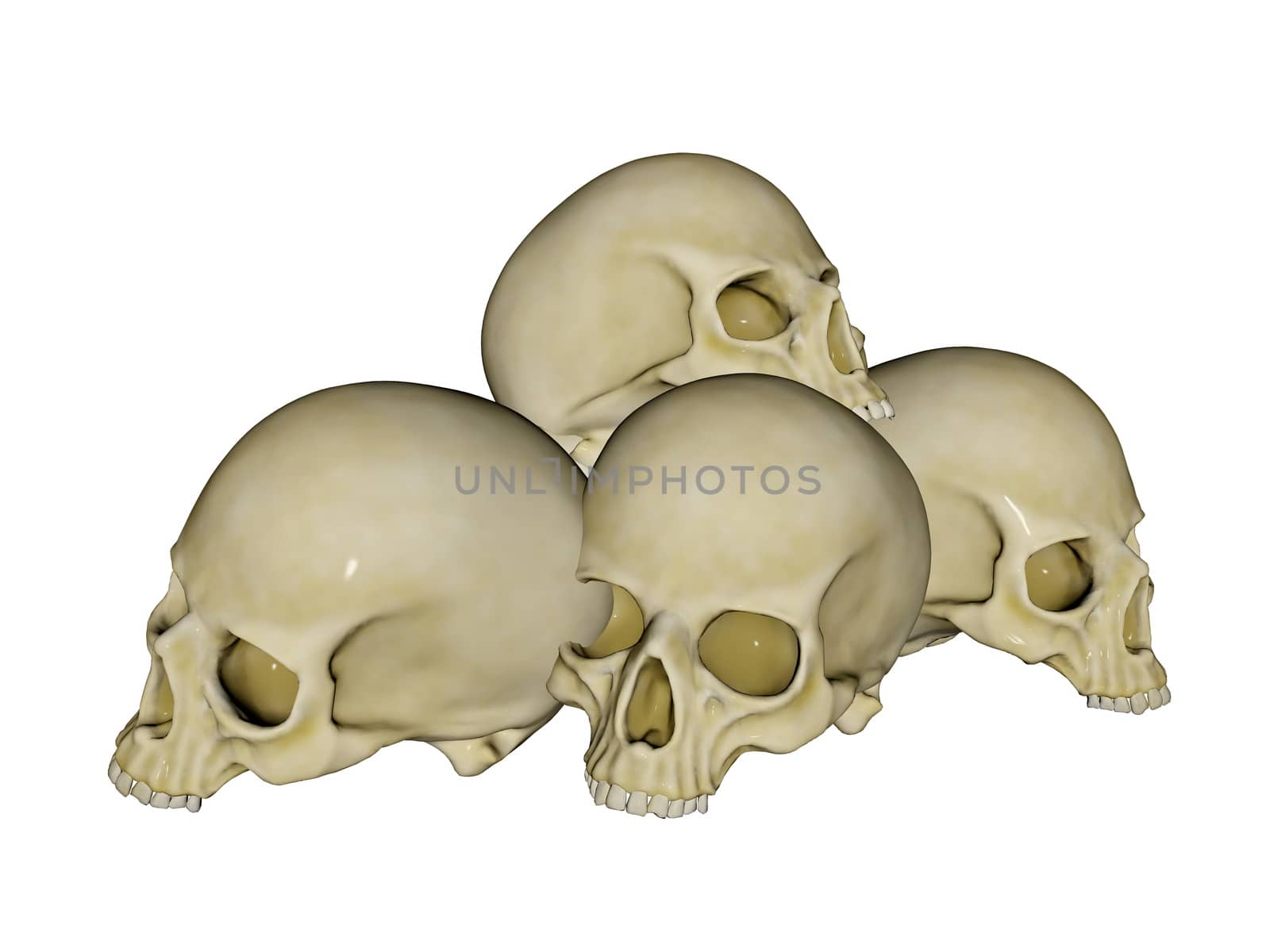 Pile of four skulls isolated in white background