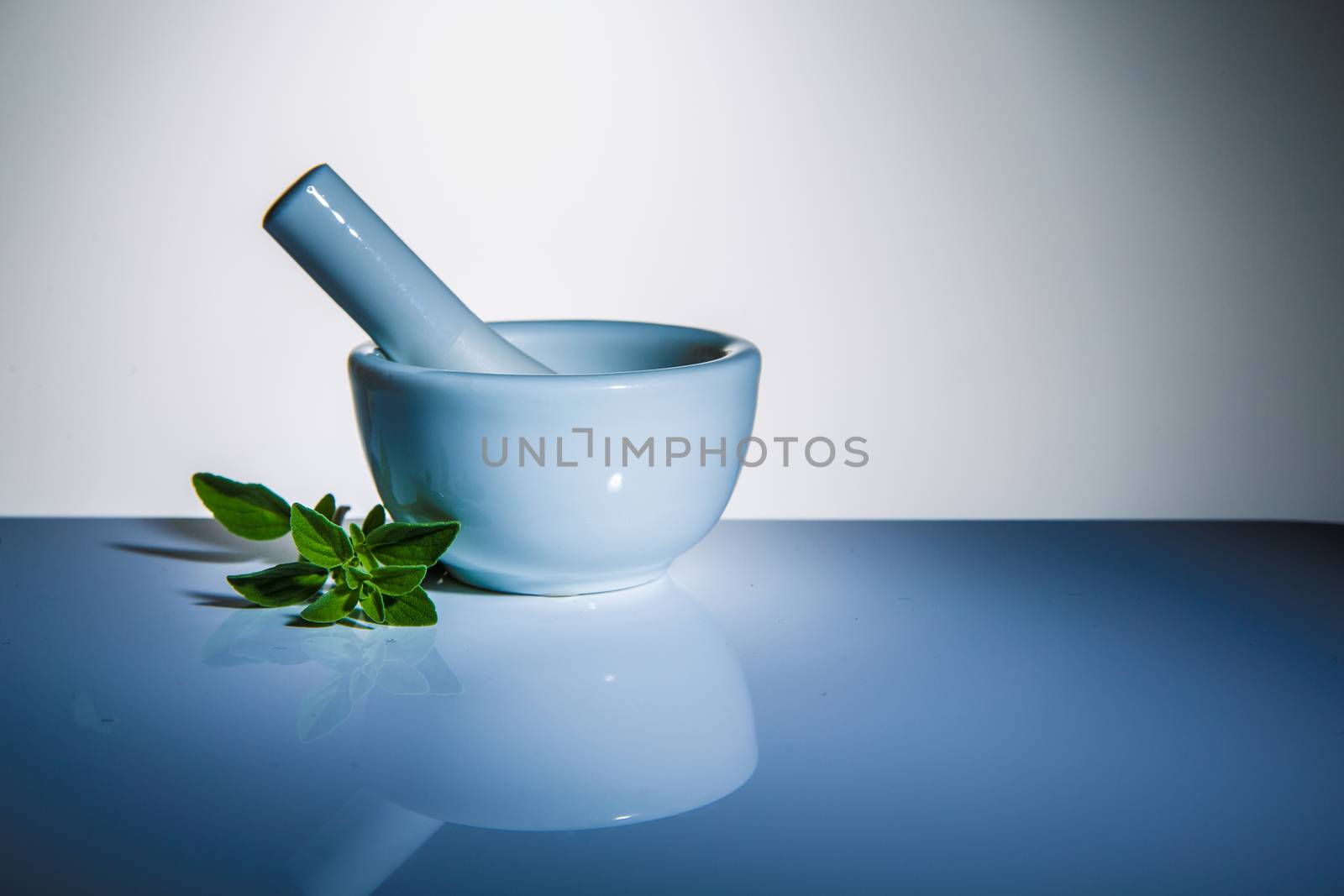 Mortar and Pestle by castaldostudio