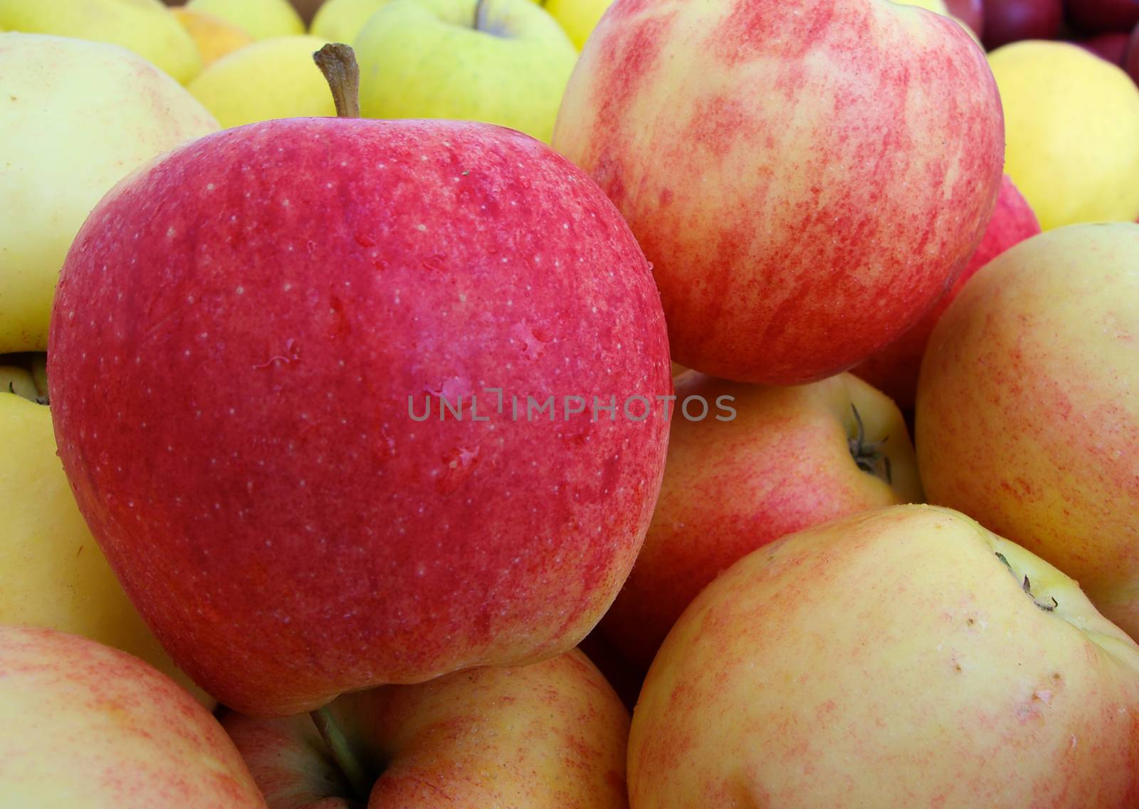 Gala Apples by bobkeenan