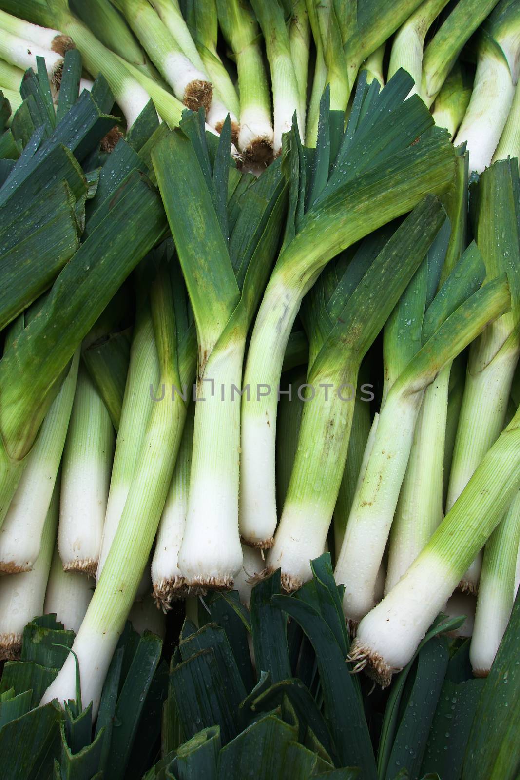 Leeks at the Market by bobkeenan