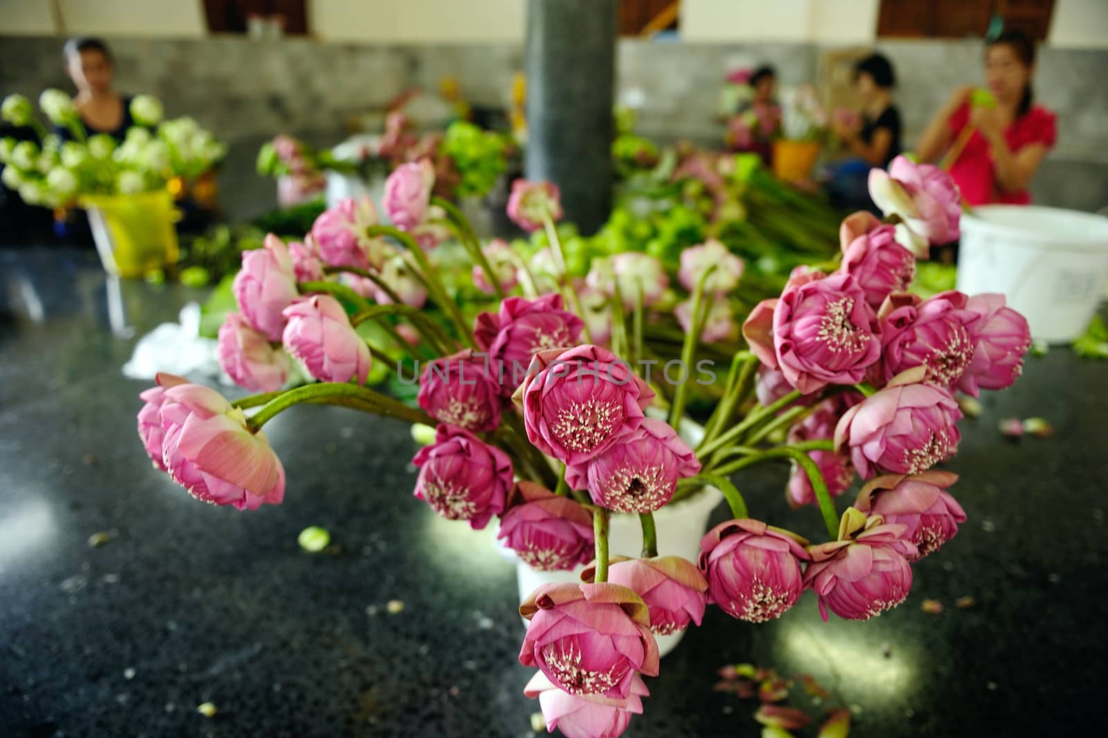 bunch of lotuses in Temple, Thailand by think4photop