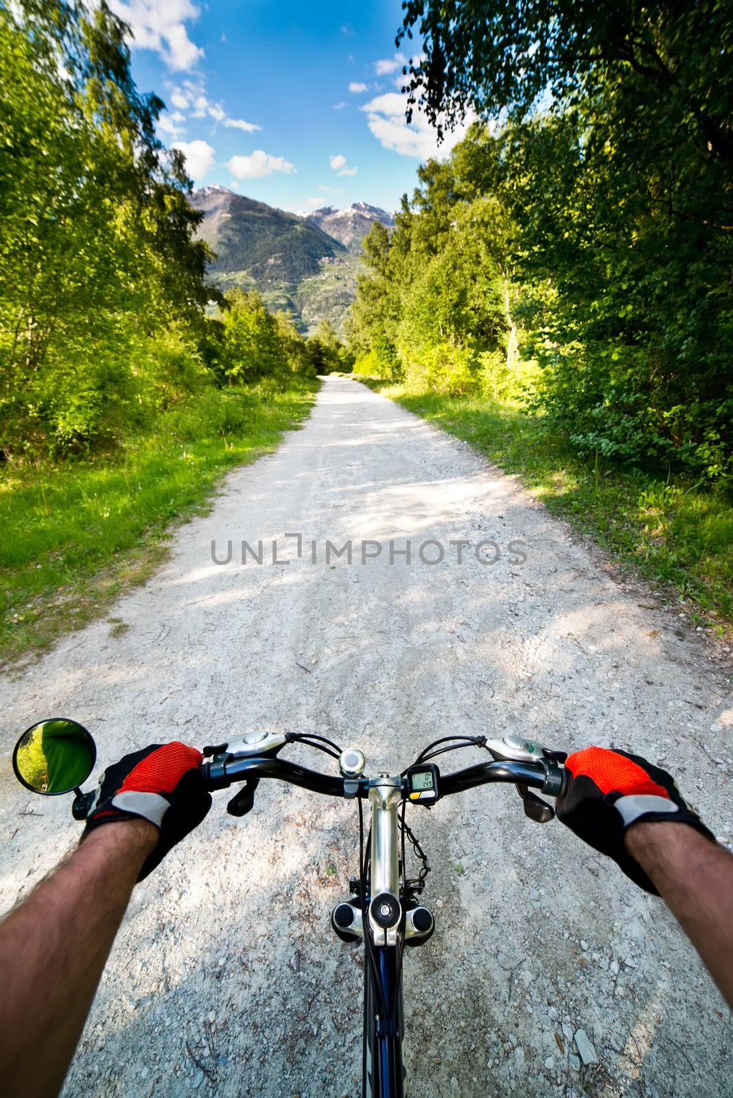 Biking in Alps by furzyk73