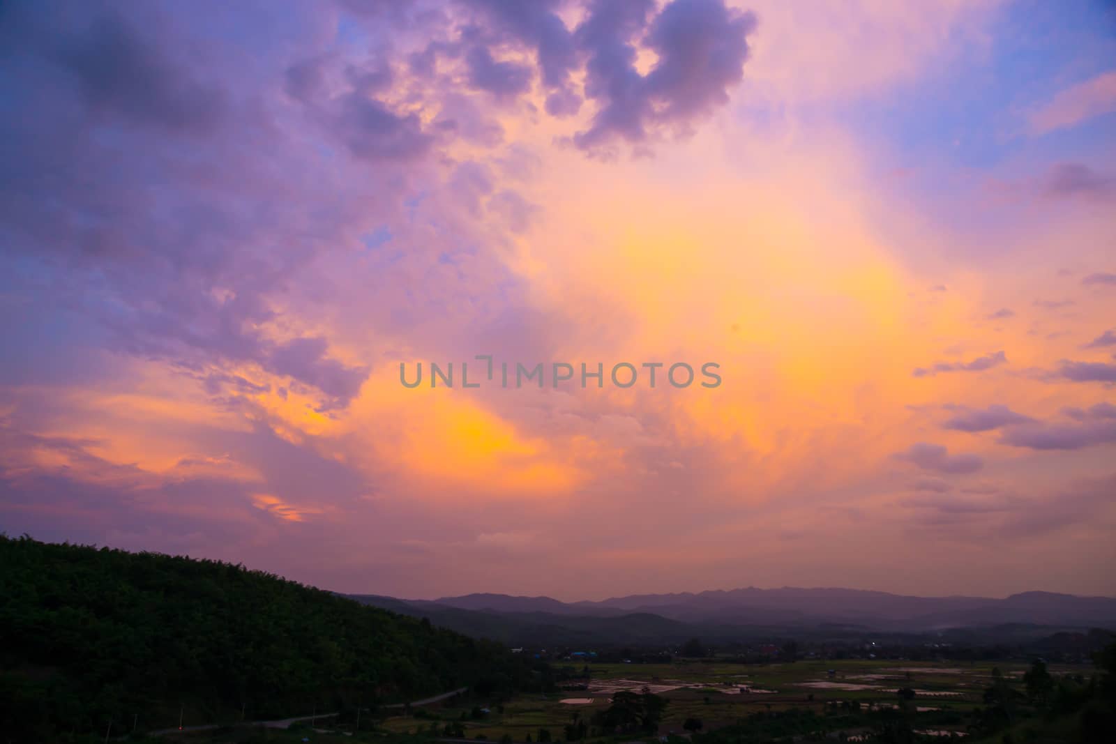 nature scene of asia,Chiangrai,Thailand