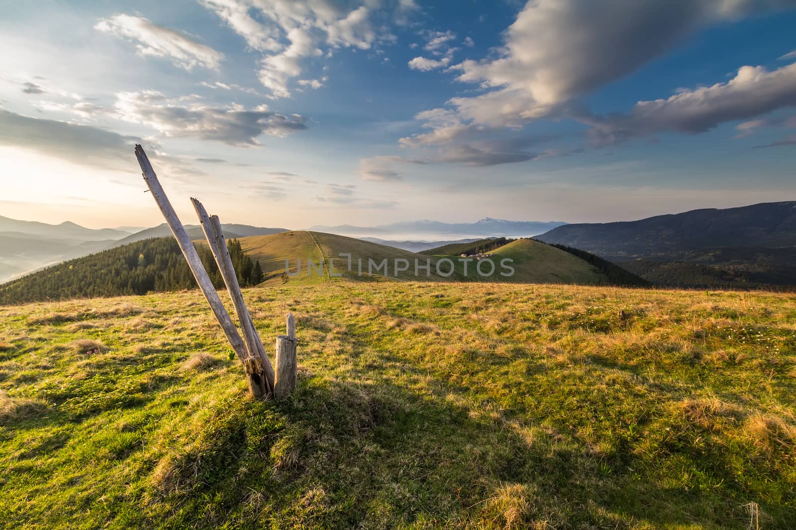 Thether post on Carpathian pasture at sunrise