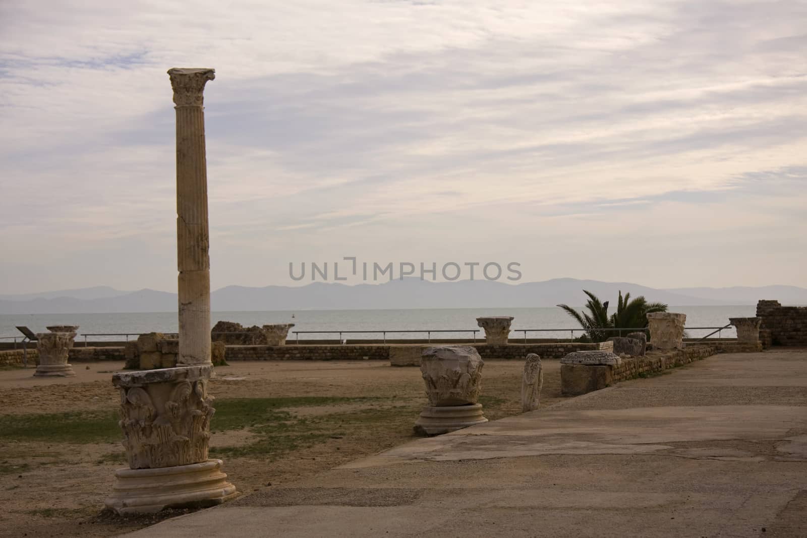 Roman pillar in Carthage, Tunisia by fotoecho