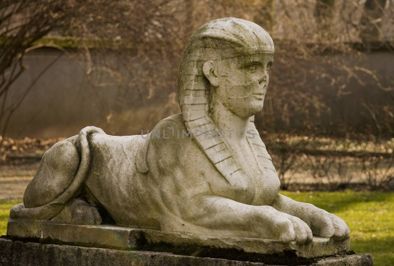 Sculpture of a sphinx in Royal Park in Warsaw by fotoecho