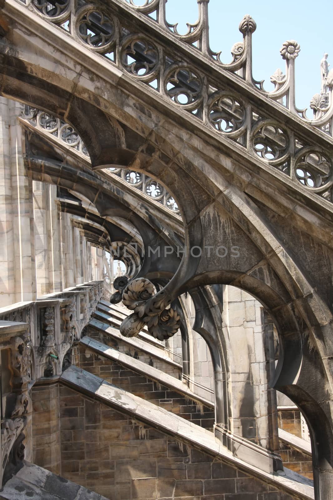 Details on the roof of gothic Milan Cathedral by fotoecho