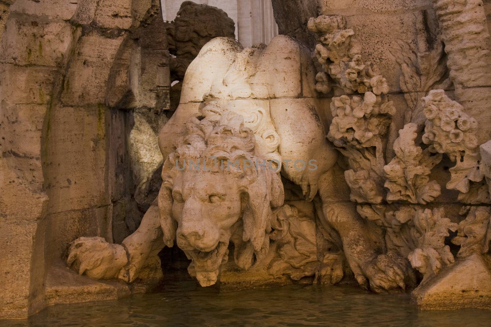 Lion statue on Piazza Navona in Rome by fotoecho