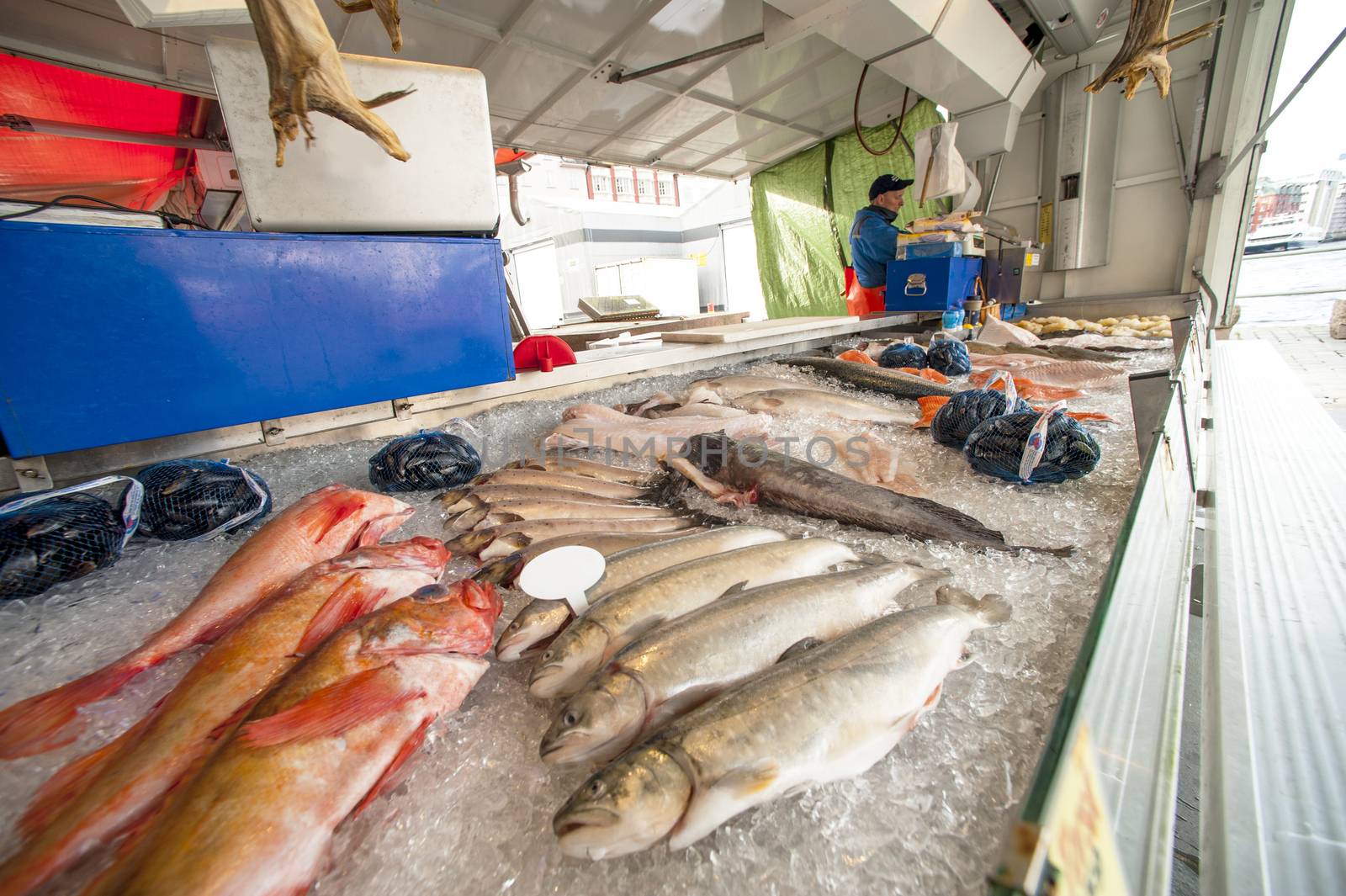 Bergen fish market by Alenmax