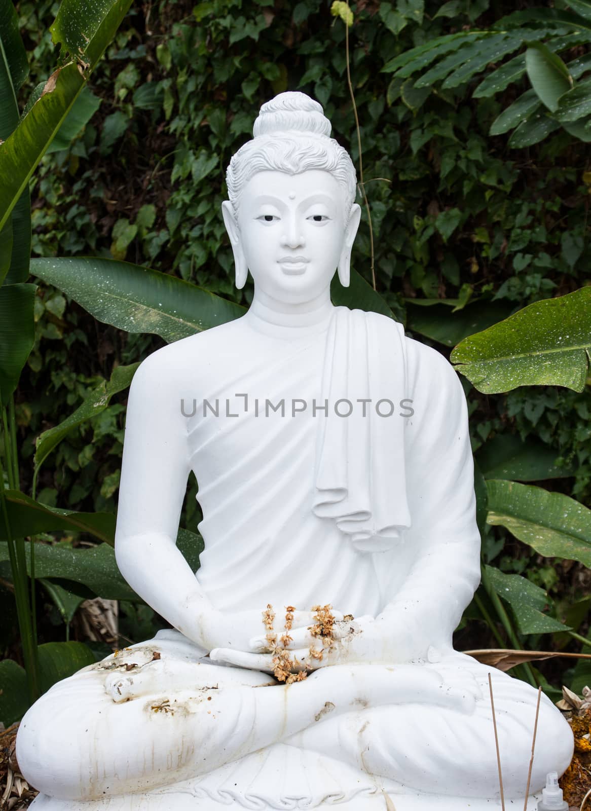 Thai Buddha ancient statue with foliage background