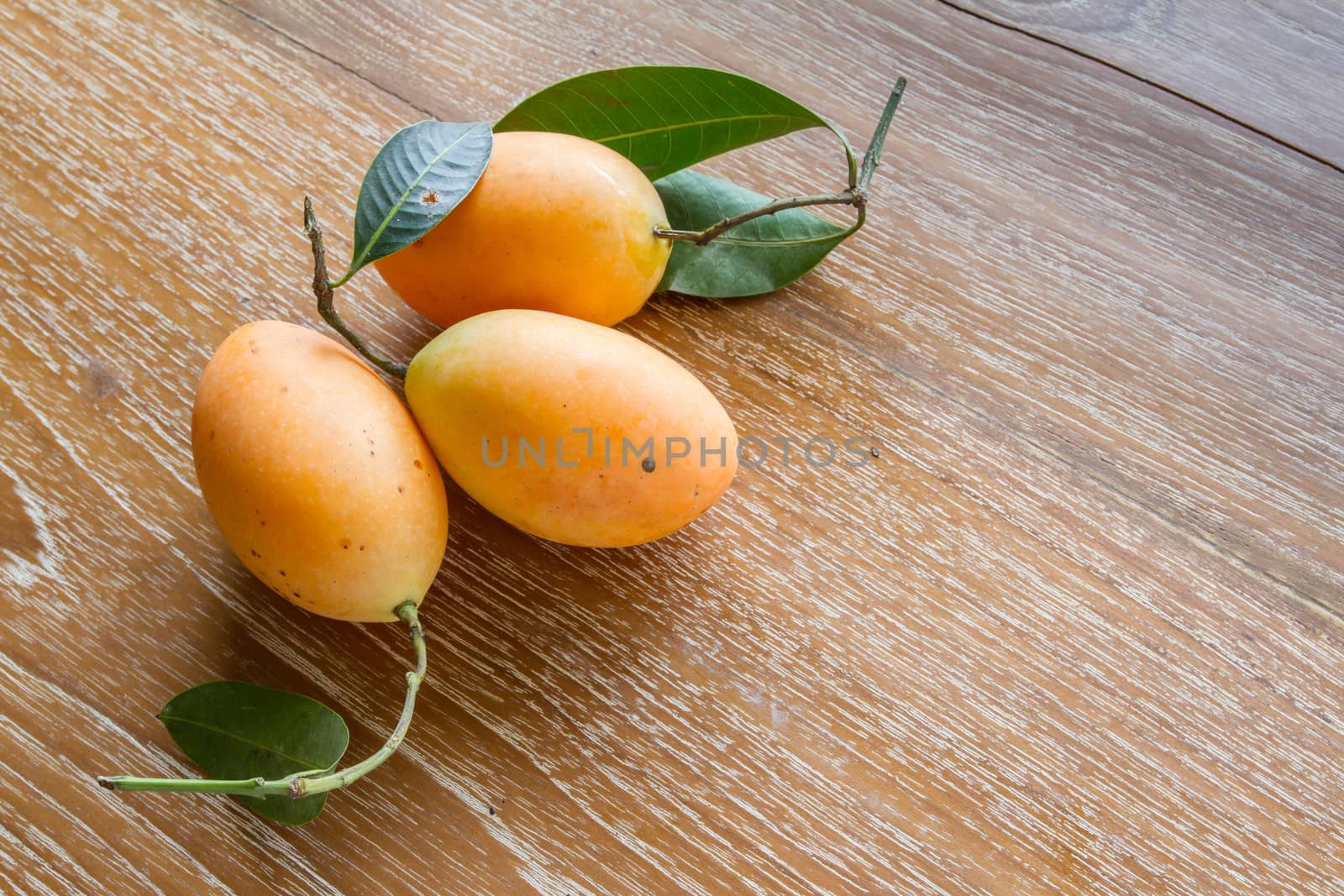 Plum mango, or Marian plum by kasinv