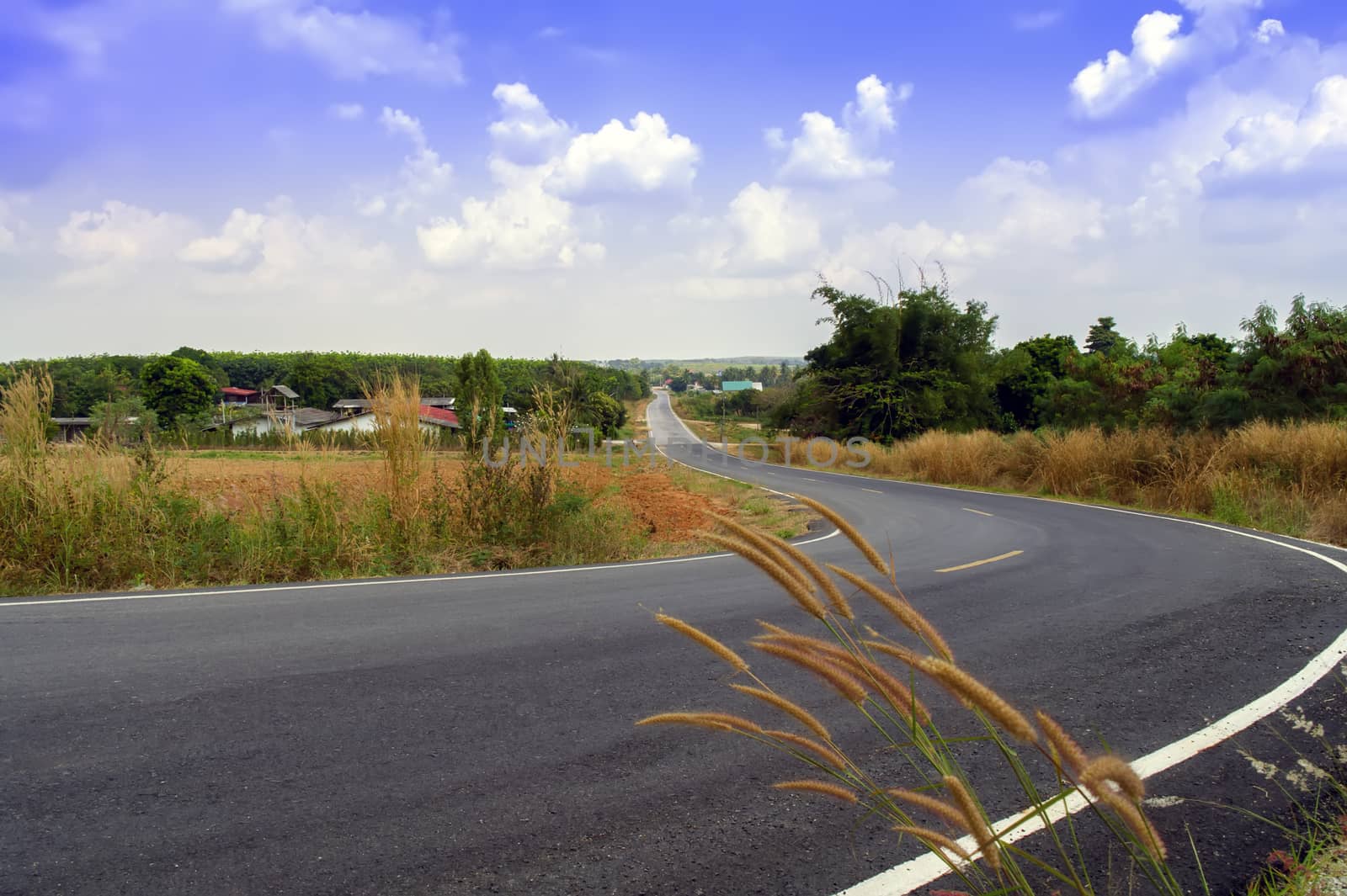 Empty Country Road in Rayong Province, Thailand.