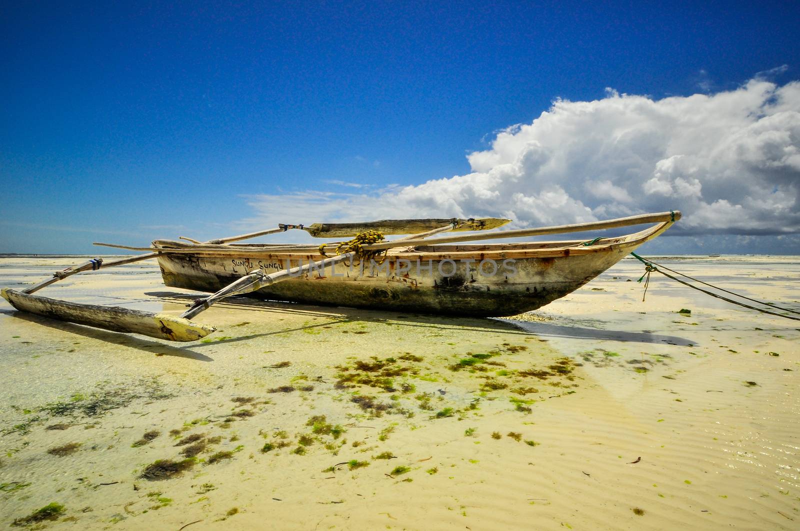 Zanzibar beach and coral rocks bule green ozean Tanzania