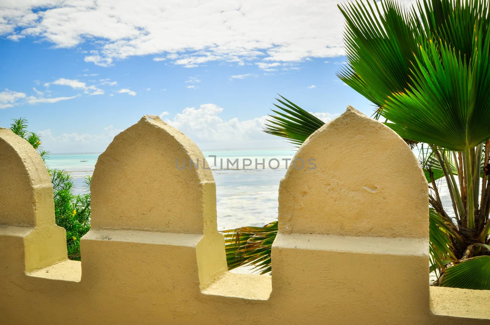 Zanzibar beach and coral rocks bule green ozean Tanzania