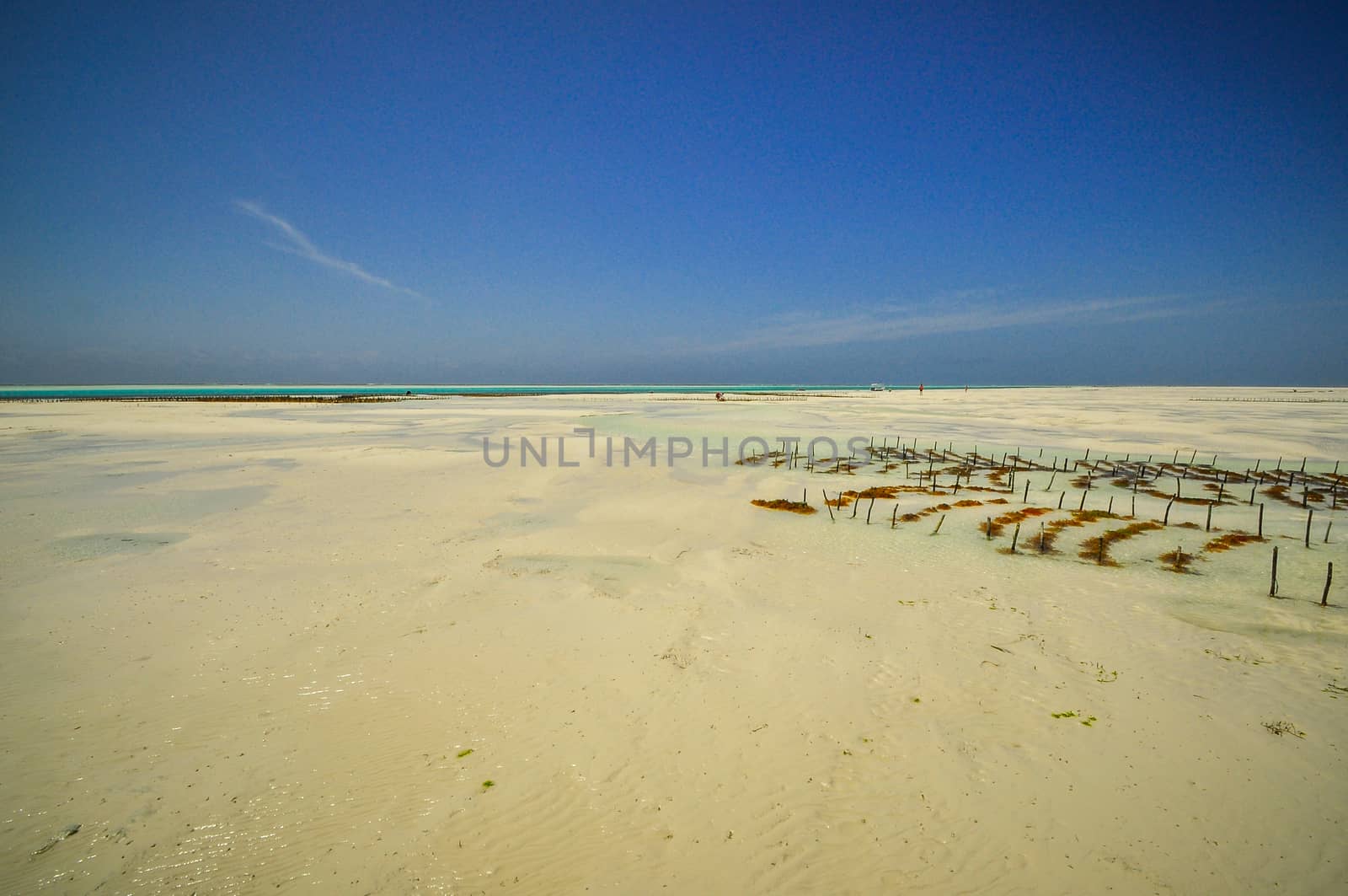 Zanzibar beach and coral rocks bule green ozean Tanzania